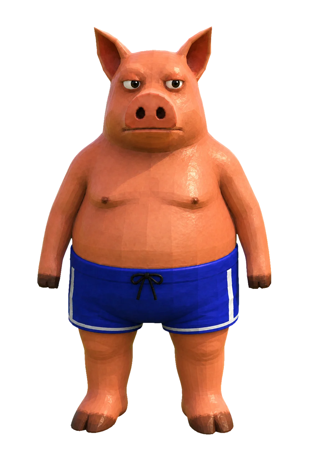 Pihg, a heavy pig standing in his field